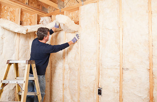 Professional Insulation Services in Craig, AK